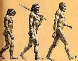 Body Evolution