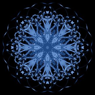 Trauma healing