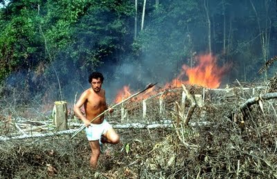 Slash and burn farmer